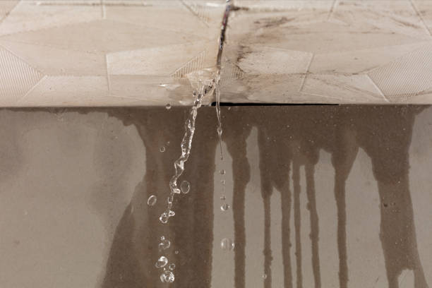 Professional Burst Pipe Cleanup technician working in Rochelle, IL